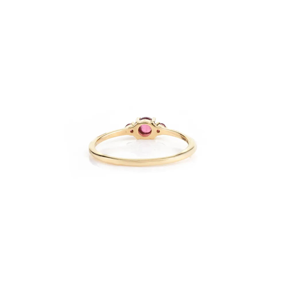 14K Yellow Gold Garnet January Birthstone Ring Fine Jewelry